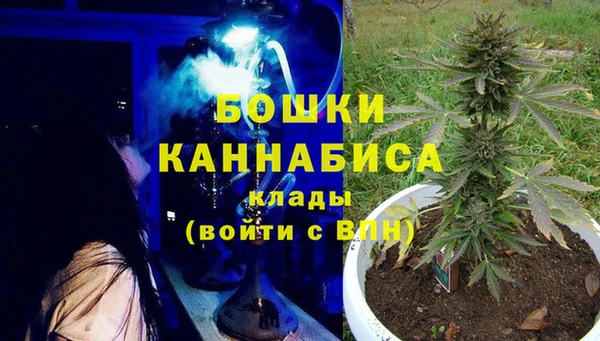 ПСИЛОЦИБИНОВЫЕ ГРИБЫ Михайлов