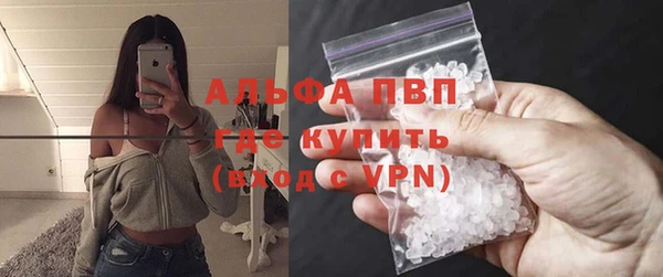 ПСИЛОЦИБИНОВЫЕ ГРИБЫ Михайлов