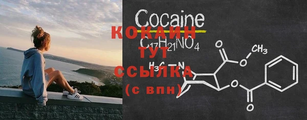 ПСИЛОЦИБИНОВЫЕ ГРИБЫ Михайлов