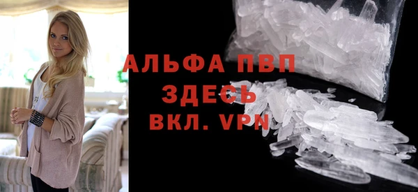 ПСИЛОЦИБИНОВЫЕ ГРИБЫ Михайлов