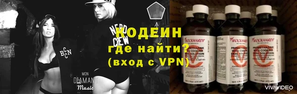 ПСИЛОЦИБИНОВЫЕ ГРИБЫ Михайлов