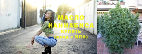 ПСИЛОЦИБИНОВЫЕ ГРИБЫ Михайлов
