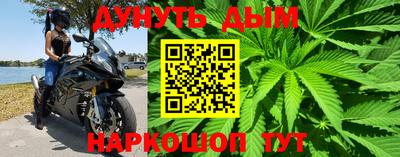 не бодяженный Гатчина