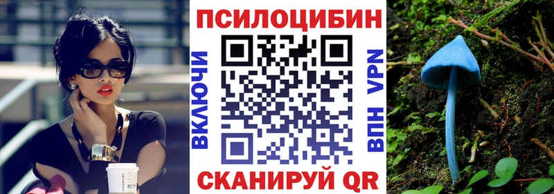Галлюциногенные грибы Psilocybe  Дербент 
