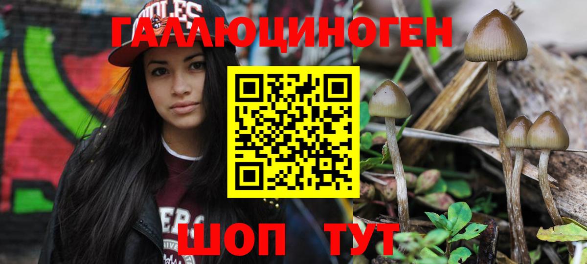 Галлюциногенные грибы MAGIC MUSHROOMS Дербент