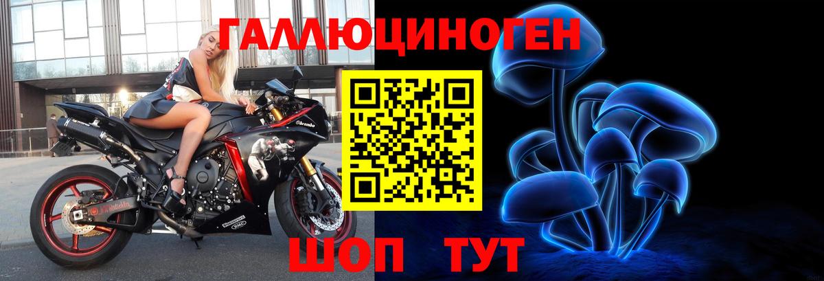Псилоцибиновые грибы Cubensis Дербент